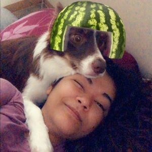 Meet your Posher, Genesis